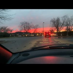 Meet your Posher, Maddie